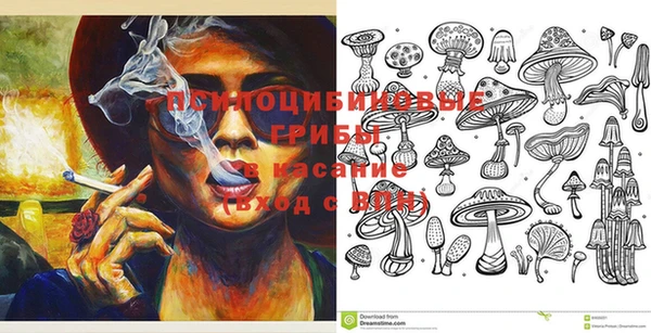ECSTASY Богданович