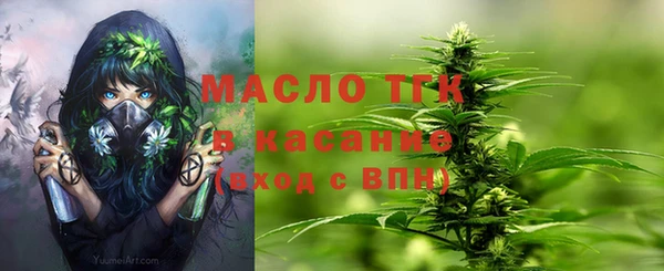ECSTASY Богданович