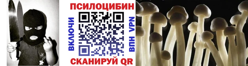 Псилоцибиновые грибы Psilocybe  где можно купить   ссылка на мегу   Медынь 